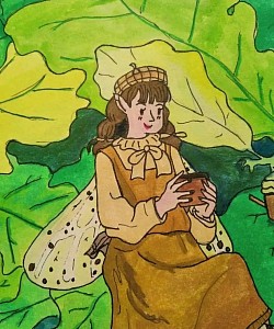 fairy