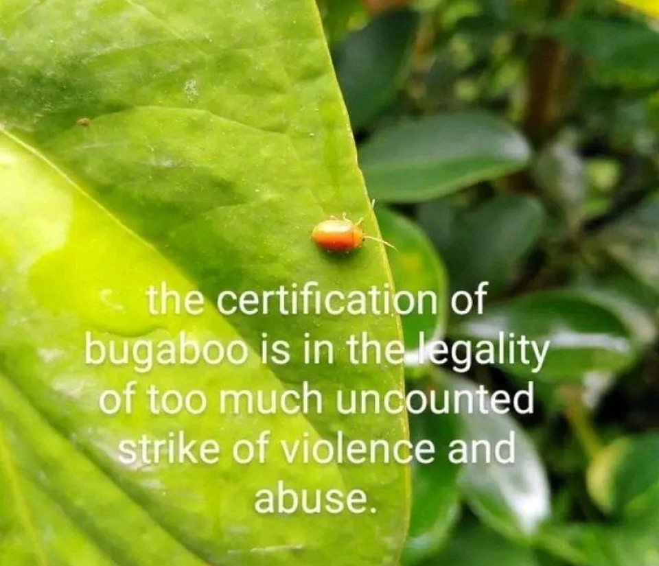 image of a bug on a green leaf
