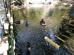 swimming