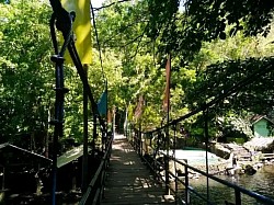 hanging bridge
