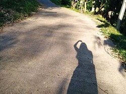 Shadow