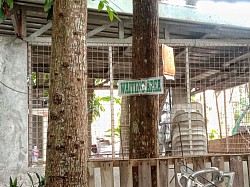 Waiting Area