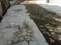 Bench