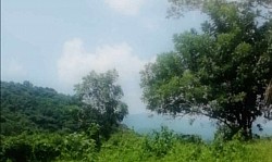 Scenery